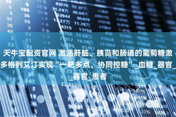 天牛宝配资官网 激活肝脏、胰岛和肠道的葡萄糖激酶，多格列艾汀实现“一靶多点、协同控糖”_血糖_器官_患者