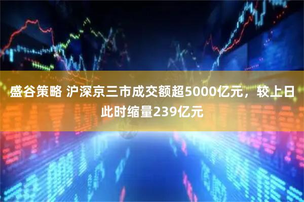 盛谷策略 沪深京三市成交额超5000亿元，较上日此时缩量239亿元