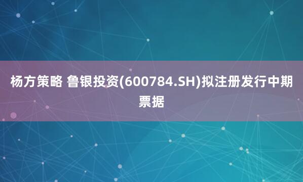 杨方策略 鲁银投资(600784.SH)拟注册发行中期票据