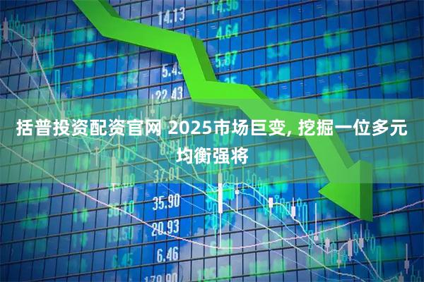 括普投资配资官网 2025市场巨变, 挖掘一位多元均衡强将